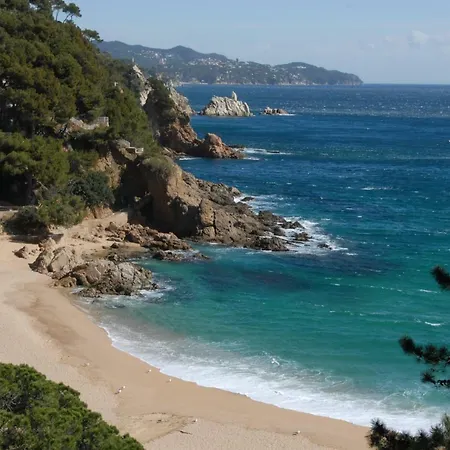 Apartment Apartamento Els Pins Blanes